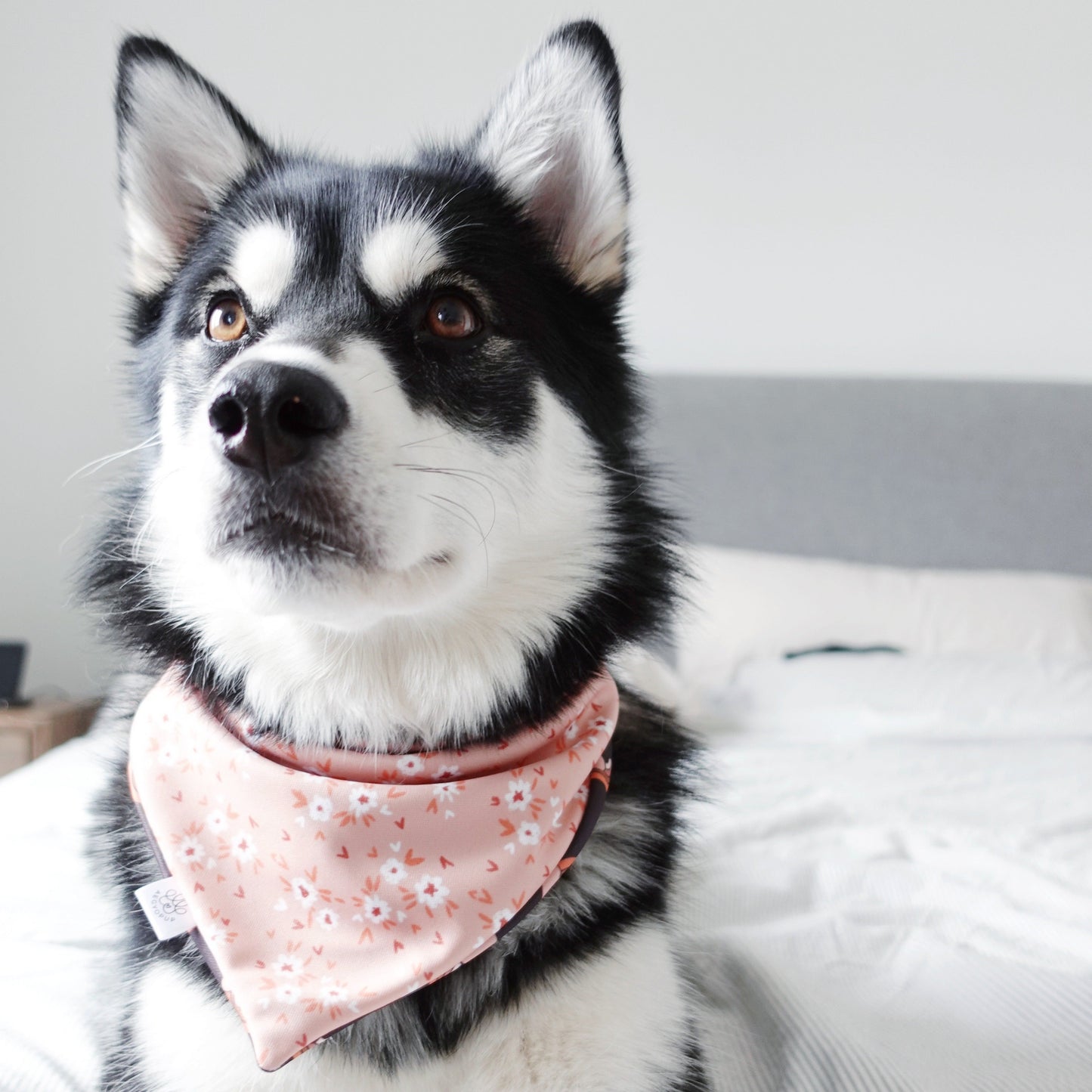 Flowers and Rainbow Hearts Bandana