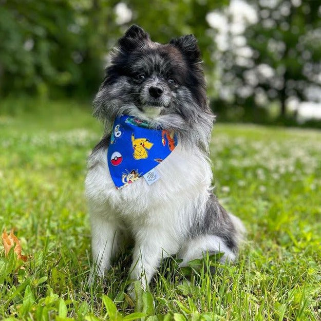 Colourful Pokemon Bandana