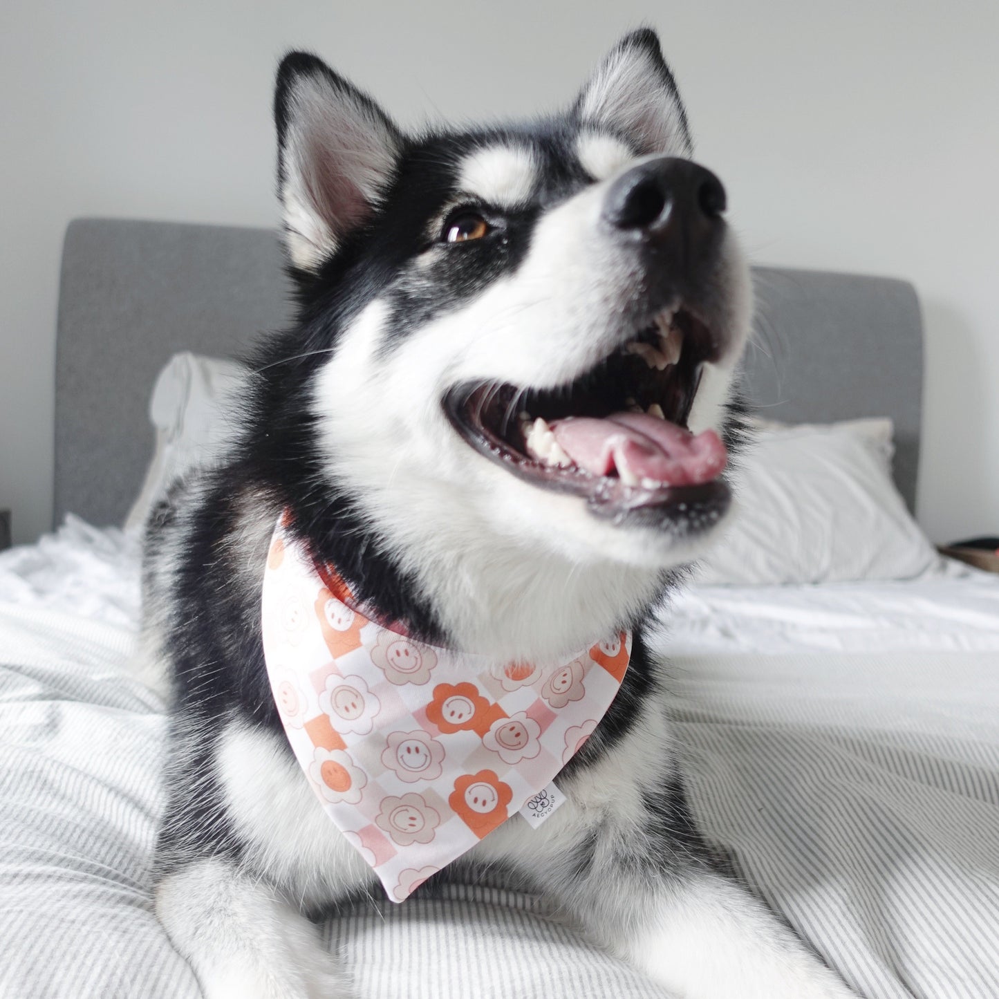 Lightning and Retro Flower Happy Face Bandana