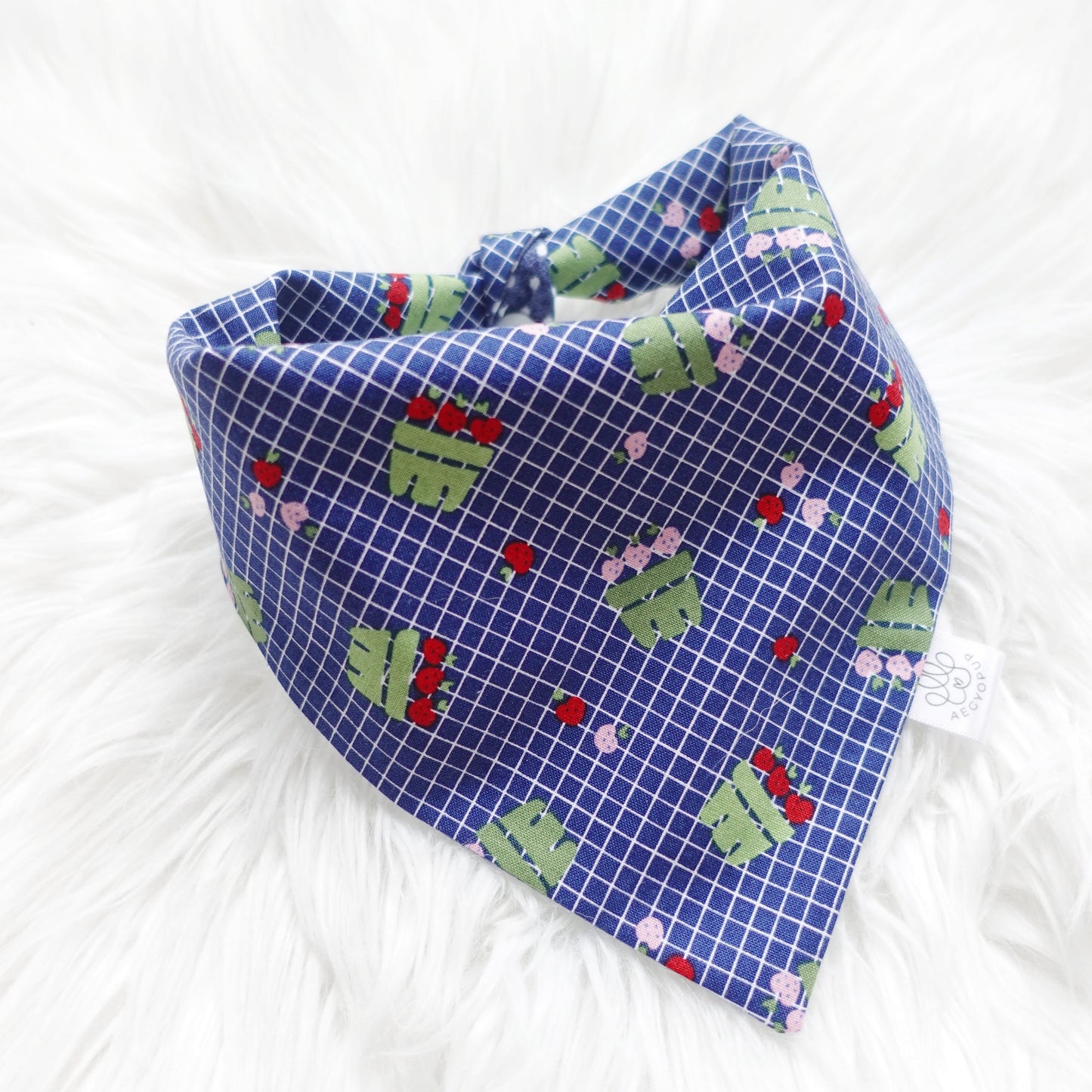 Strawberry Basket and Polka Dots Bandana