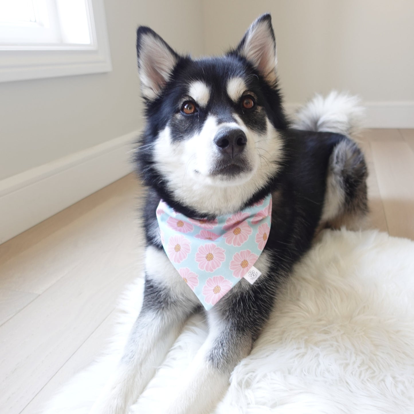 Pink and Blue Floral Bandana