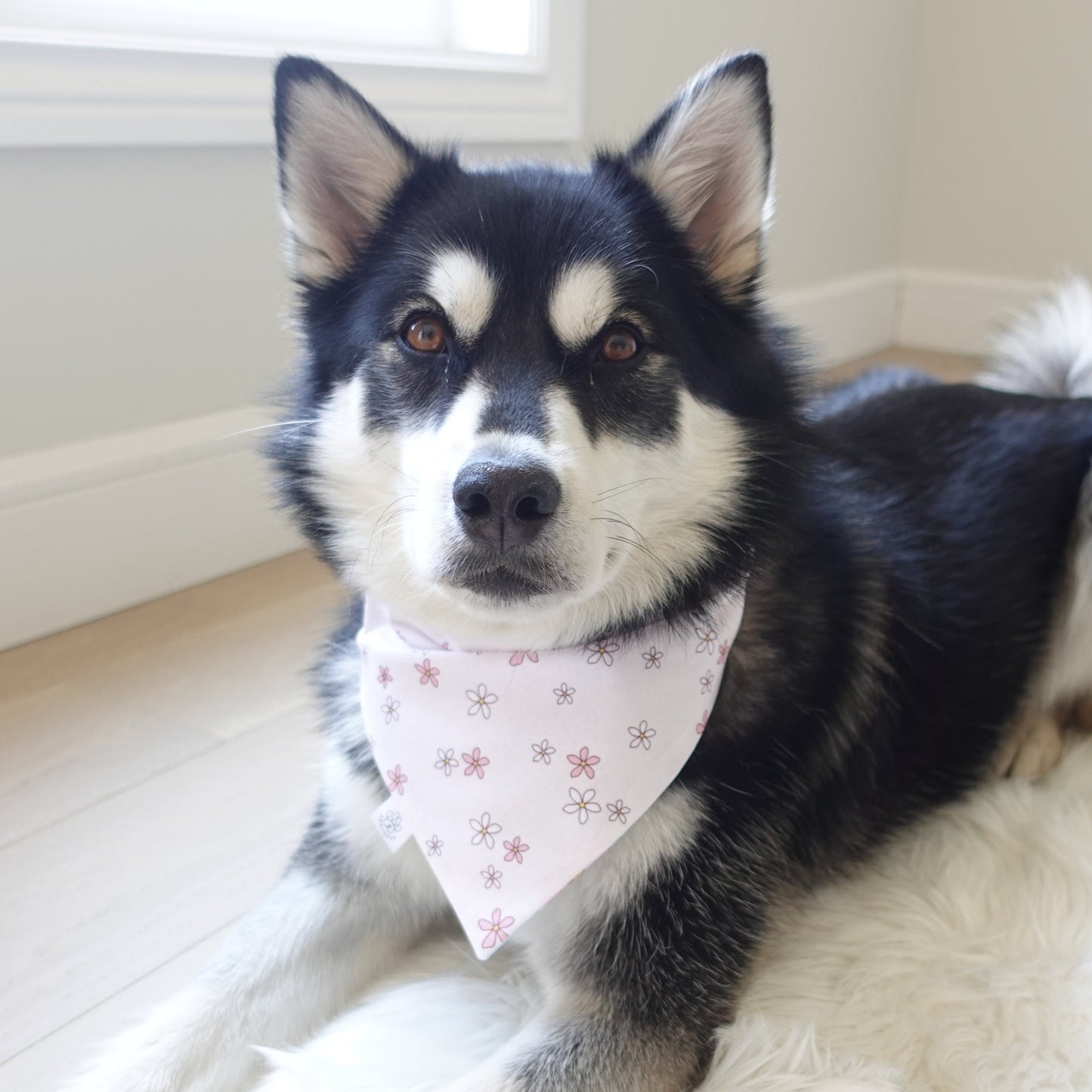 Pink and Blue Floral Bandana