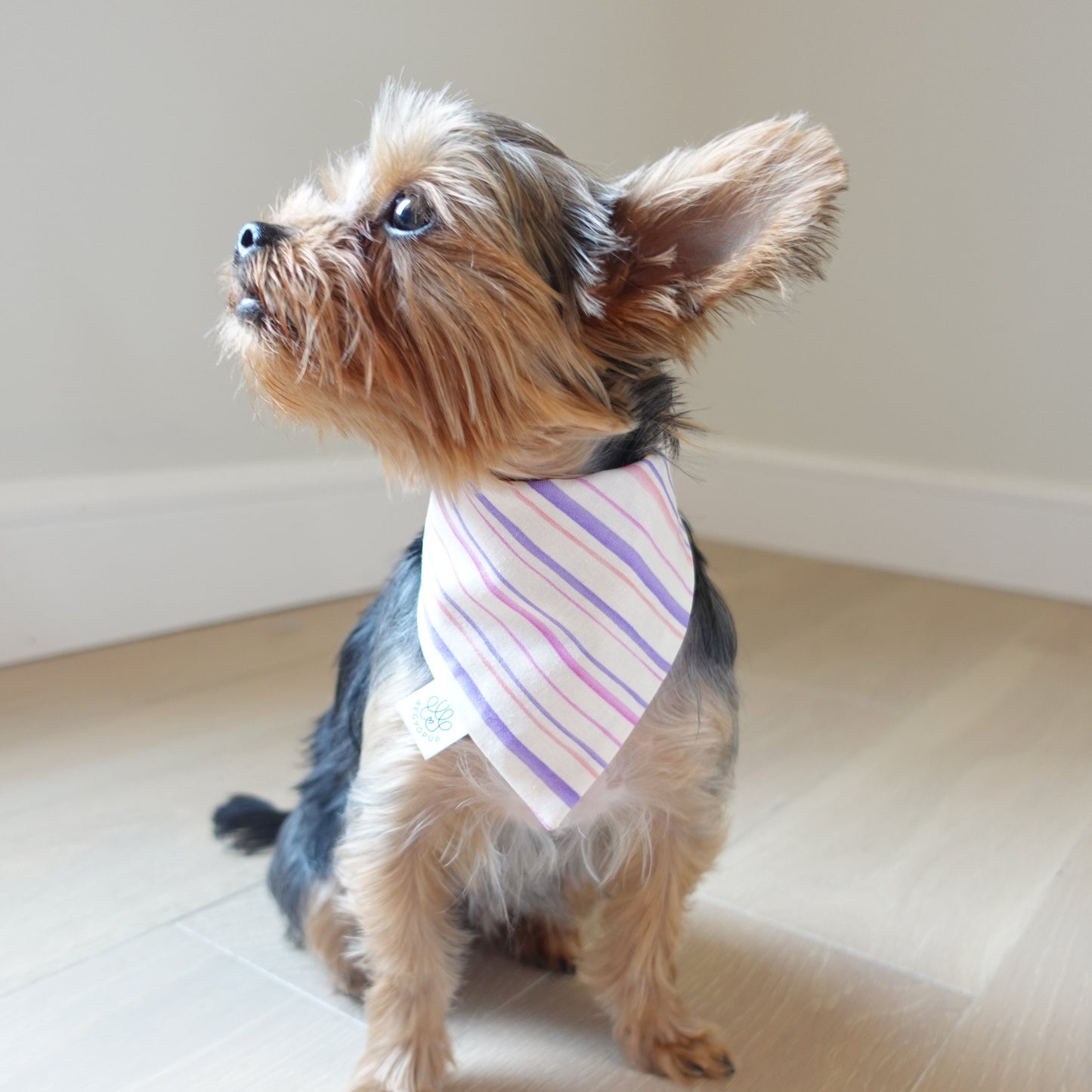 Pink Flowers and Stripes Bandana