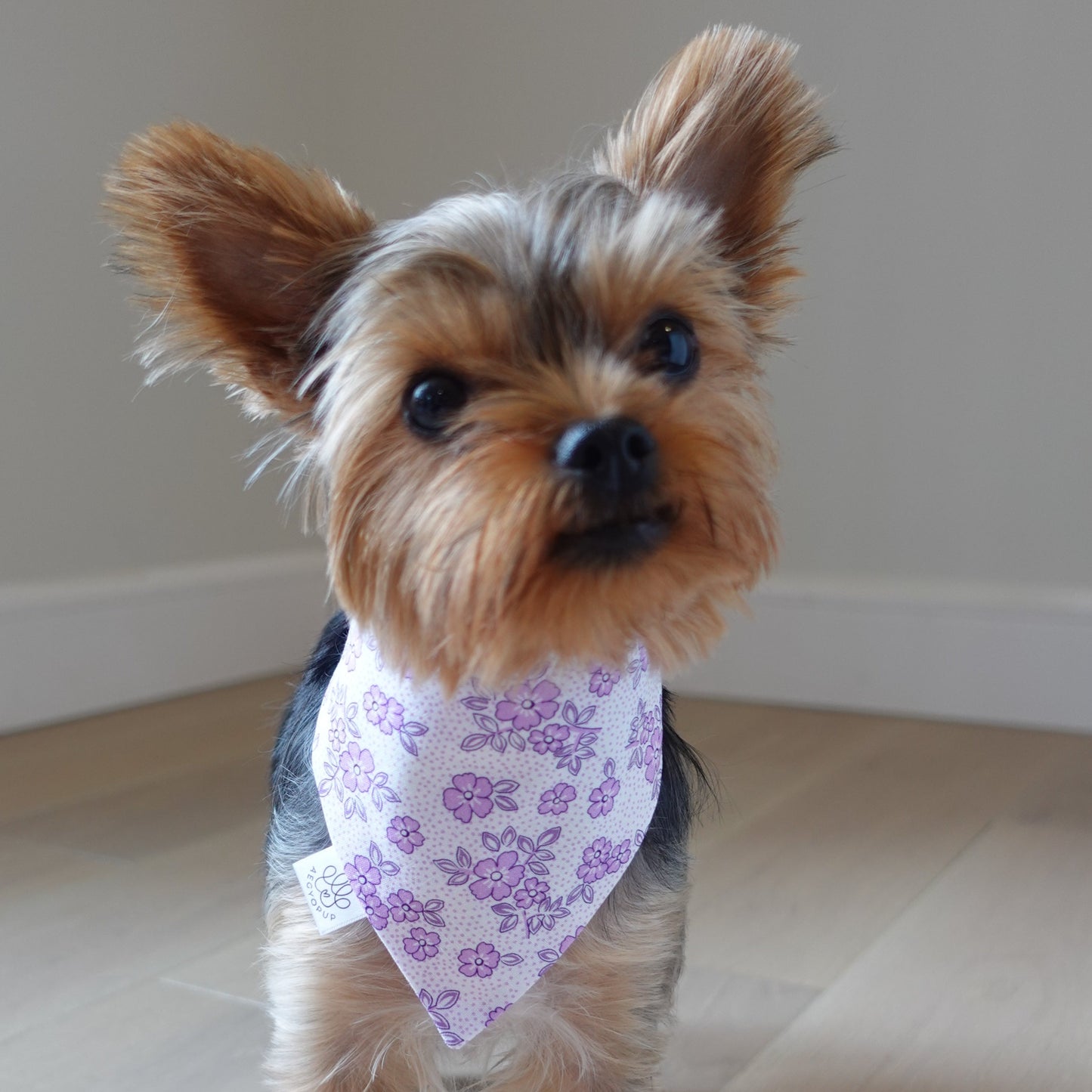 Purple Lilac Flowers Bandana