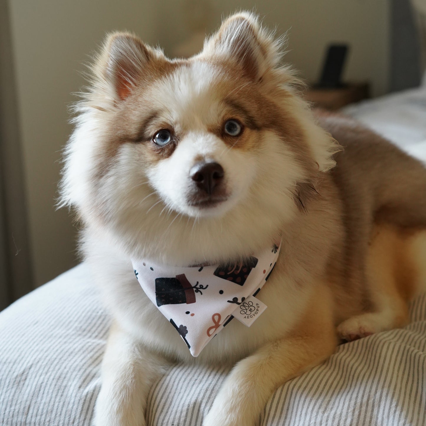 Birthday Black and White Presents Bandana