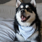 Cute Blue Baking and Stripes Bandana