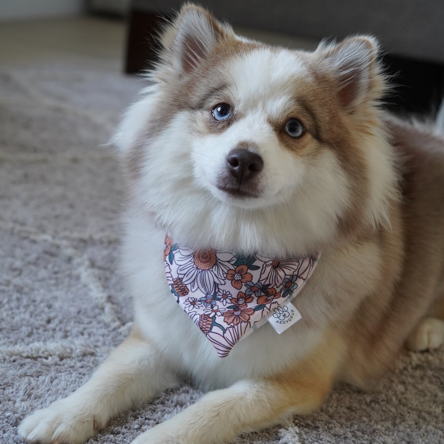 Fall Flowers and Stripes Bandana