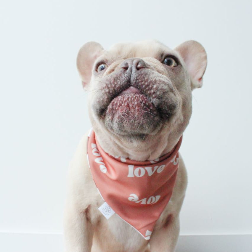 Love and 3D Hearts Bandana