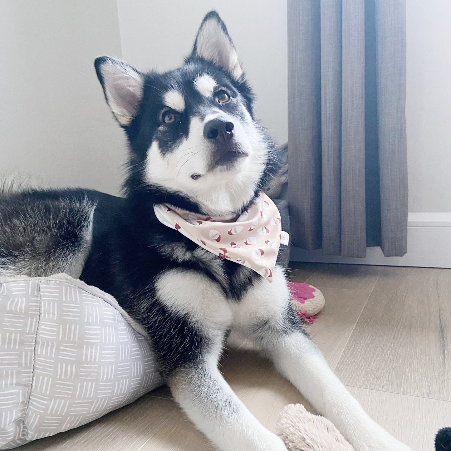 Santas and Santa Hat Bandana