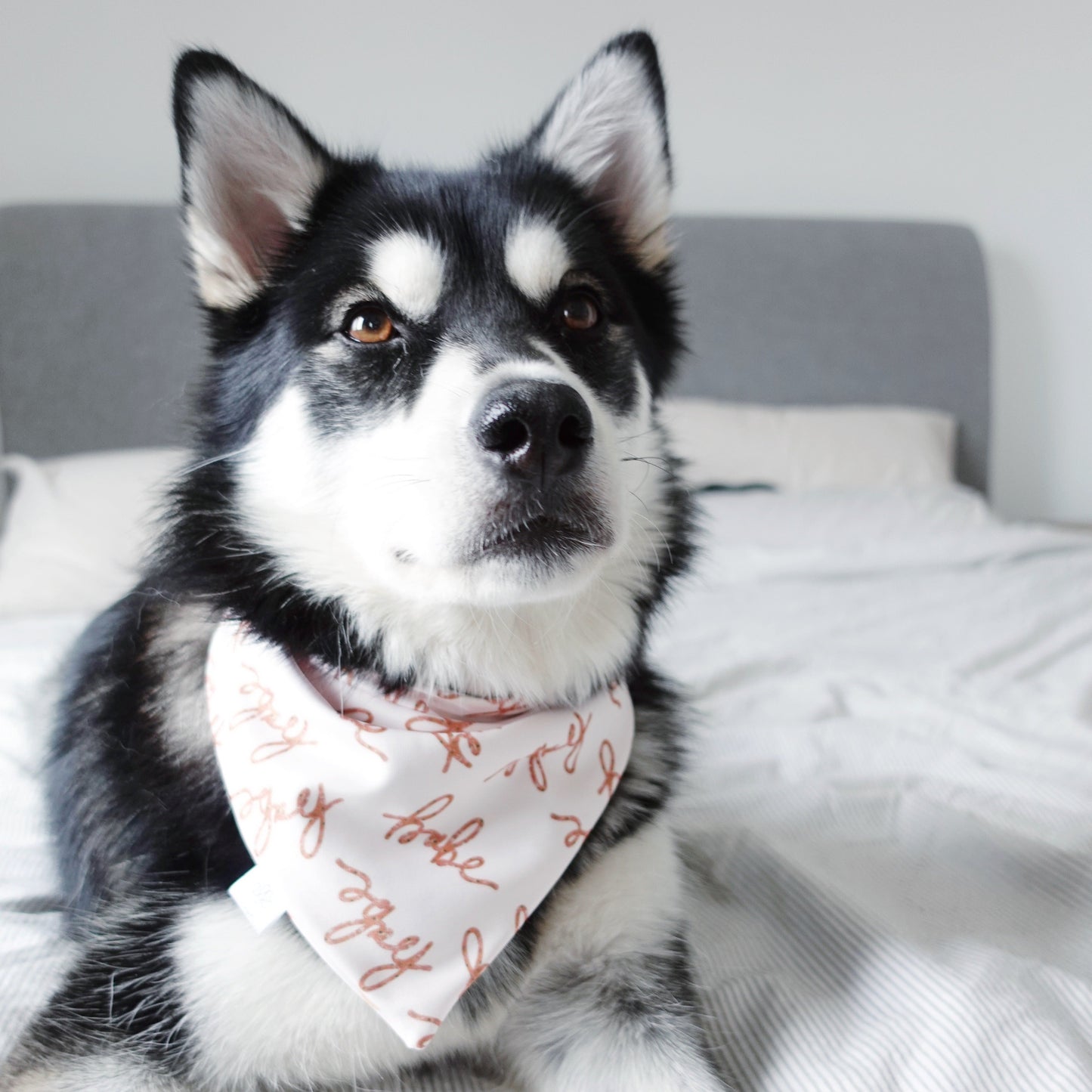 Babe and Be Mine Bandana