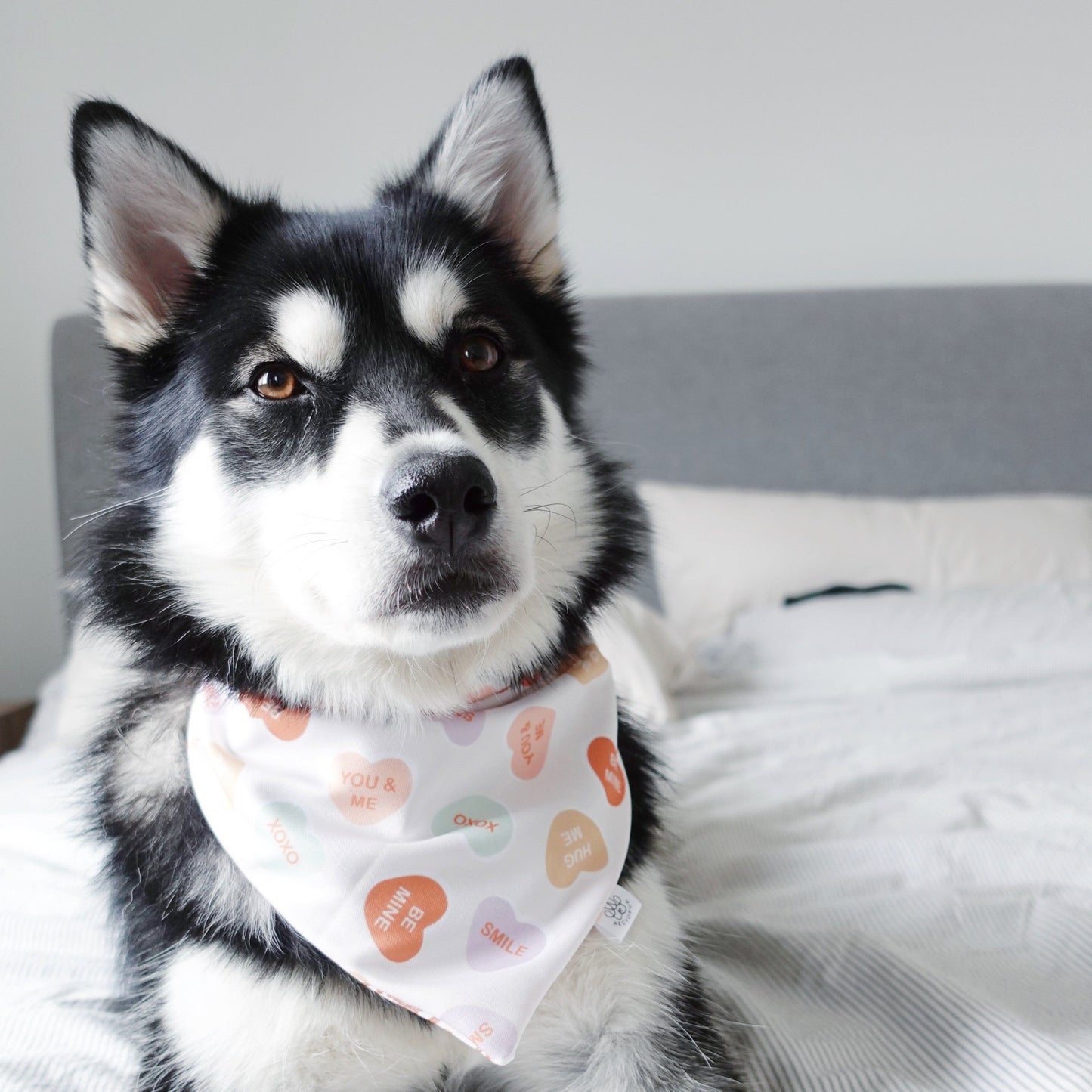 Babe and Be Mine Bandana