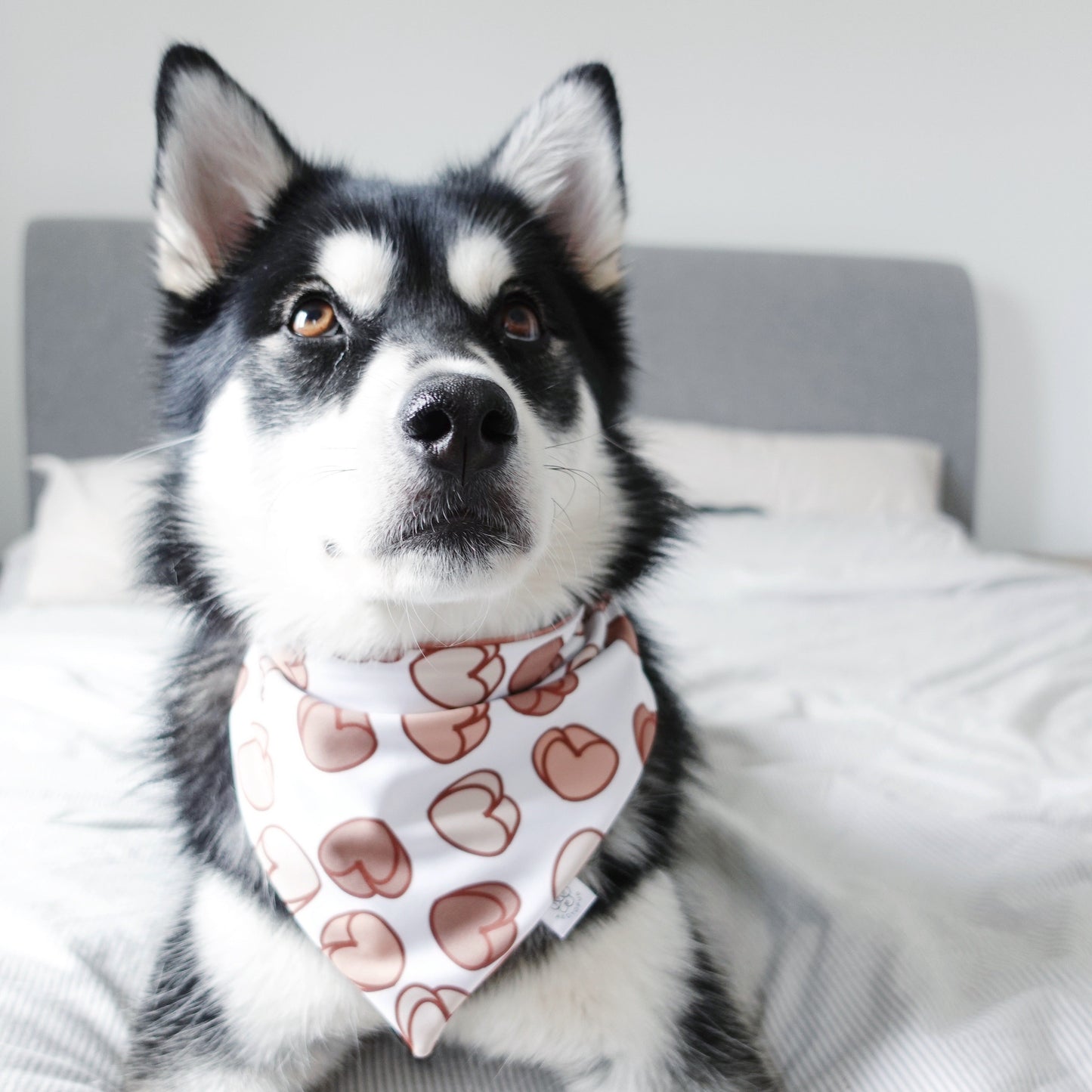 Love and 3D Hearts Bandana