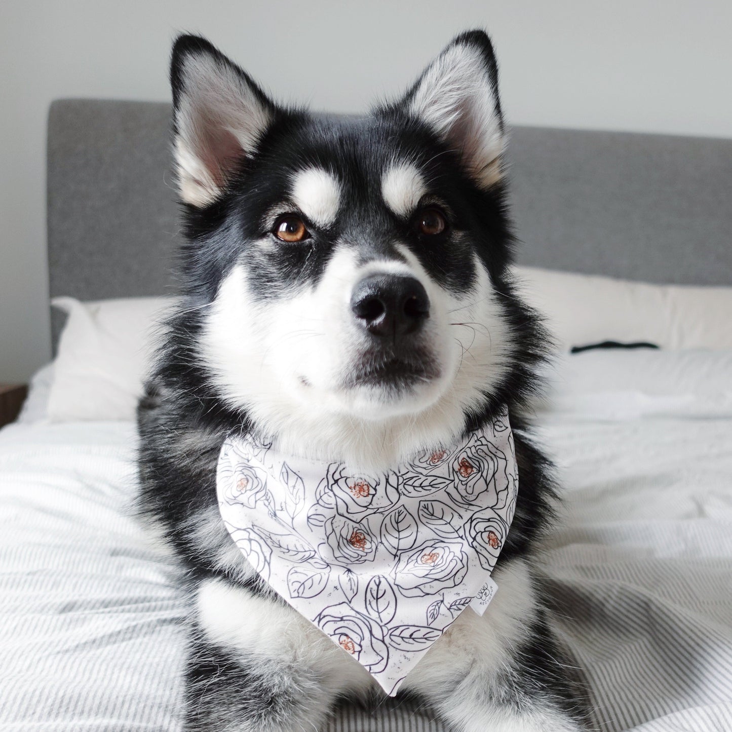 Roses and Hearts n' Arrows Bandana