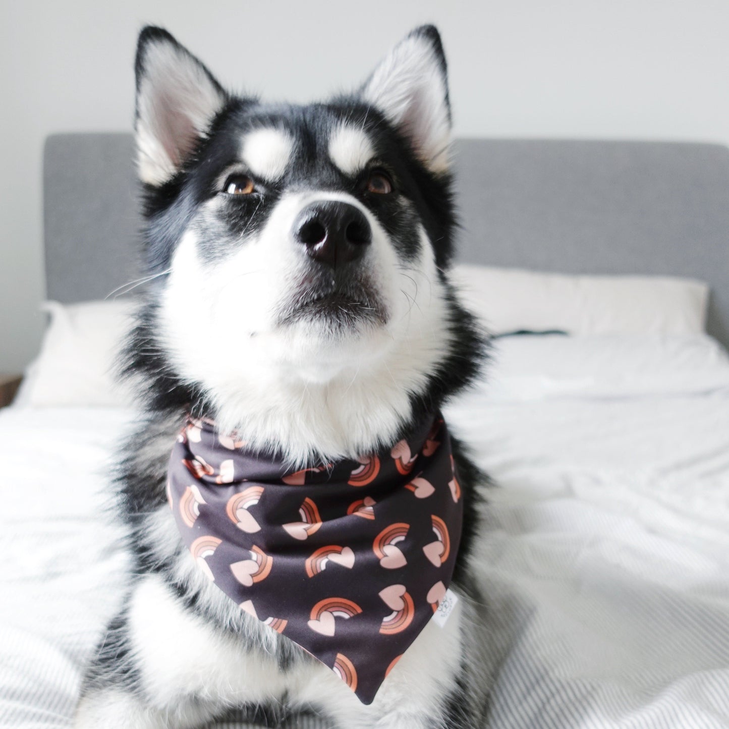 Flowers and Rainbow Hearts Bandana