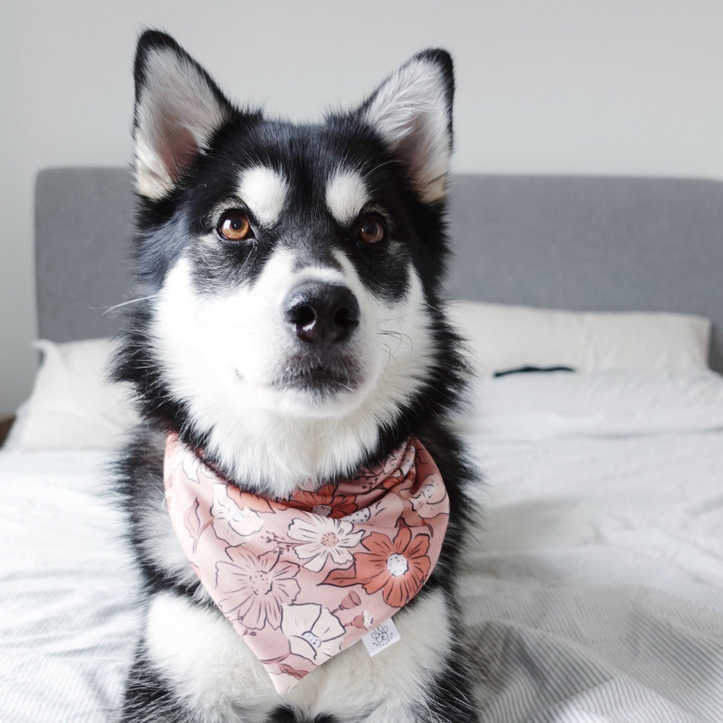 Love Mail and Flowers Bandana