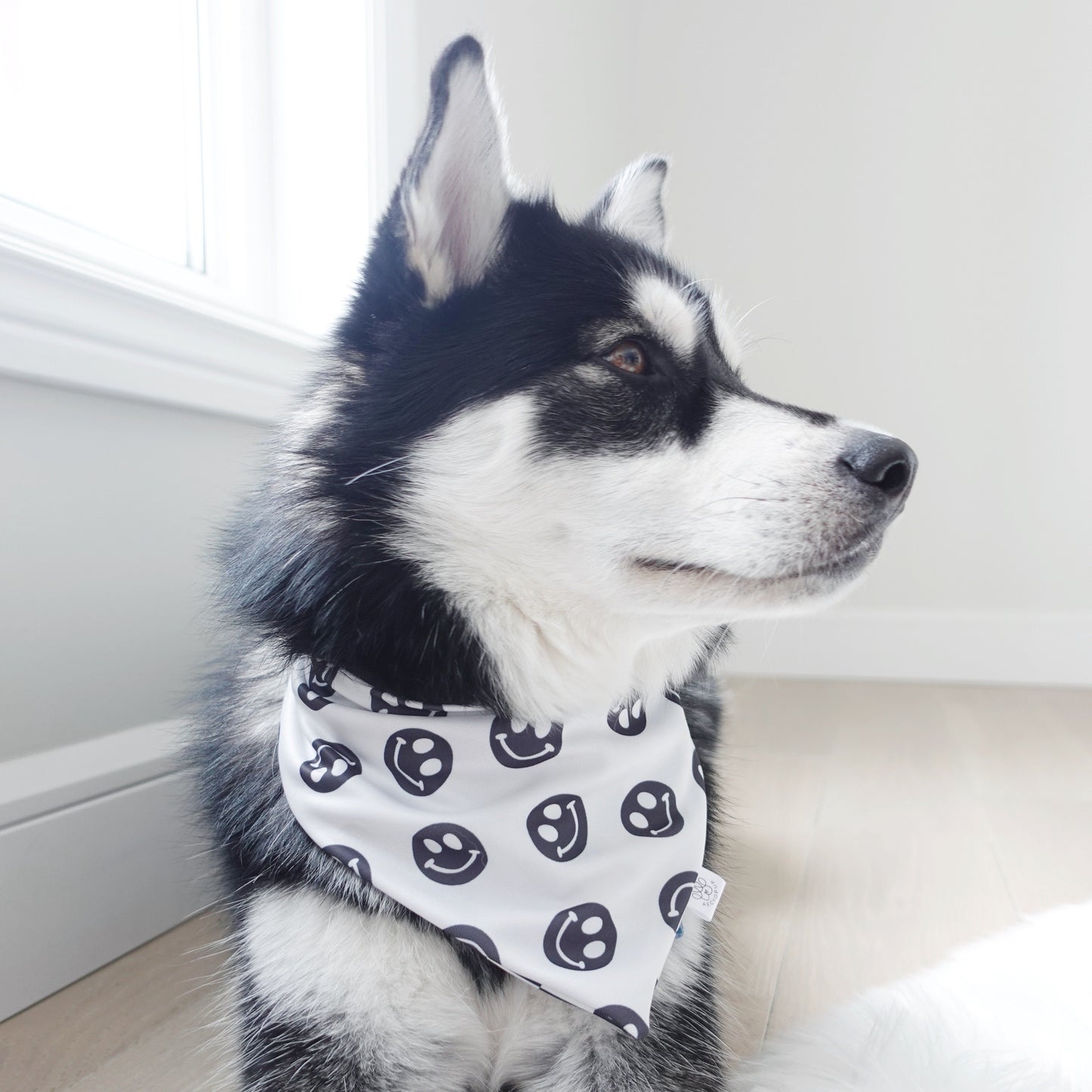 Black Smiley Face and Wavy Checkered Bandana