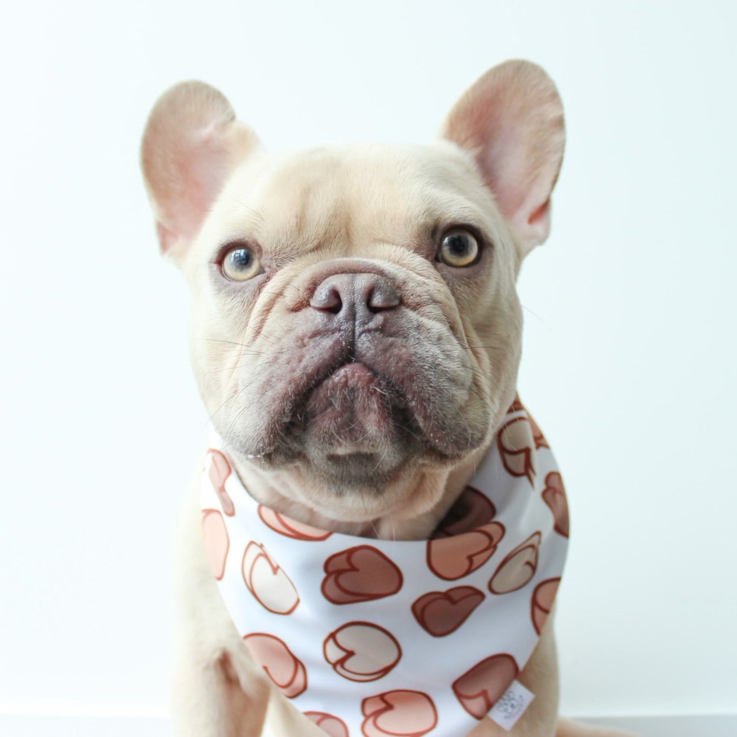 Love and 3D Hearts Bandana