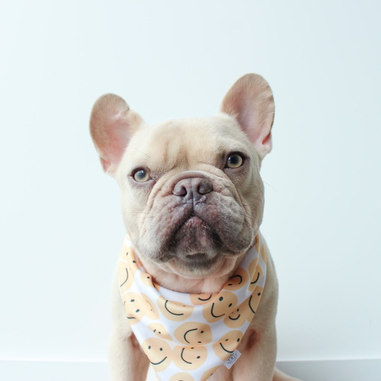 Yellow Smiley Face and X Crosses Bandana