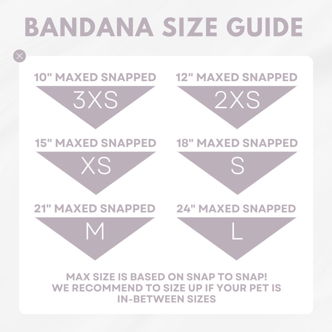 Blue Paw Print + Stripe Pattern