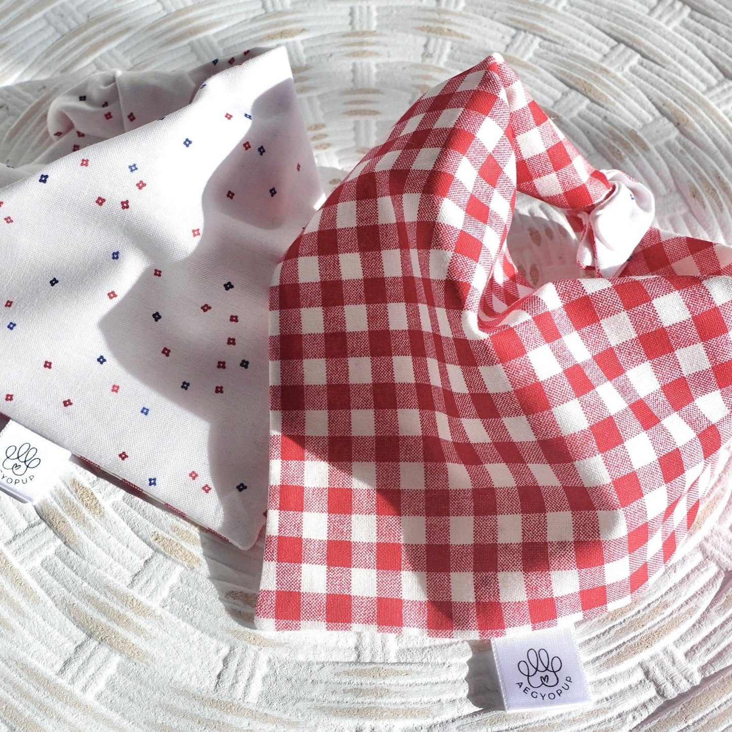 Red Checkered Picnic and Splattered Dots