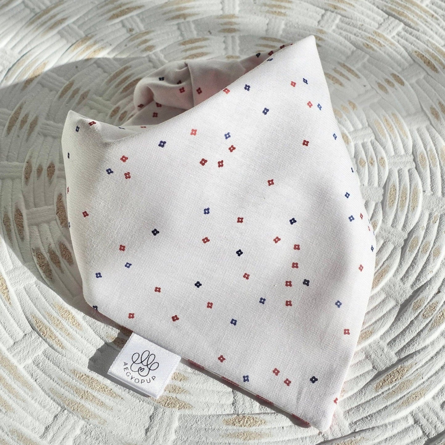 Red Checkered Picnic and Splattered Dots