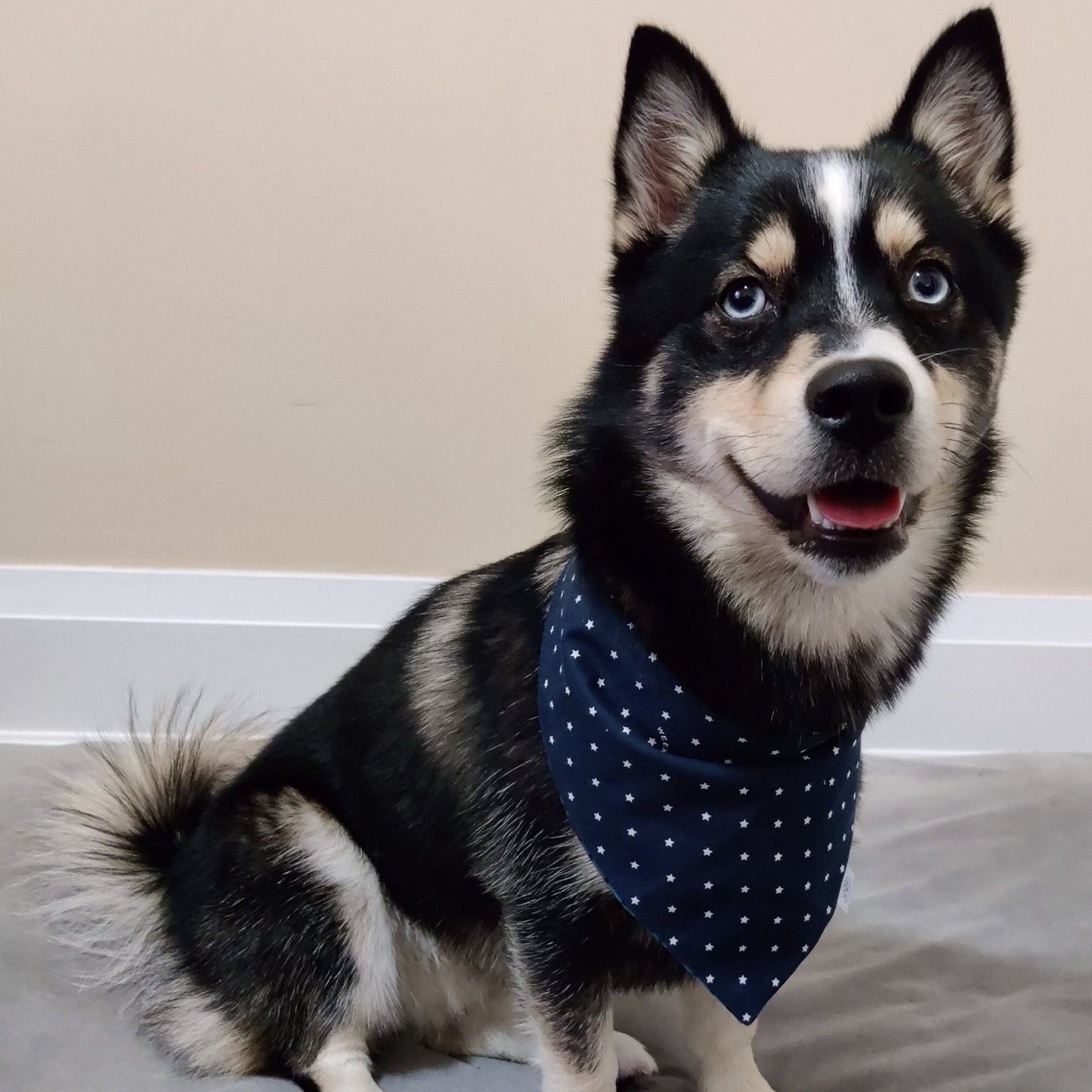 Blue Checkered Stripes and Blue Weekend Stars