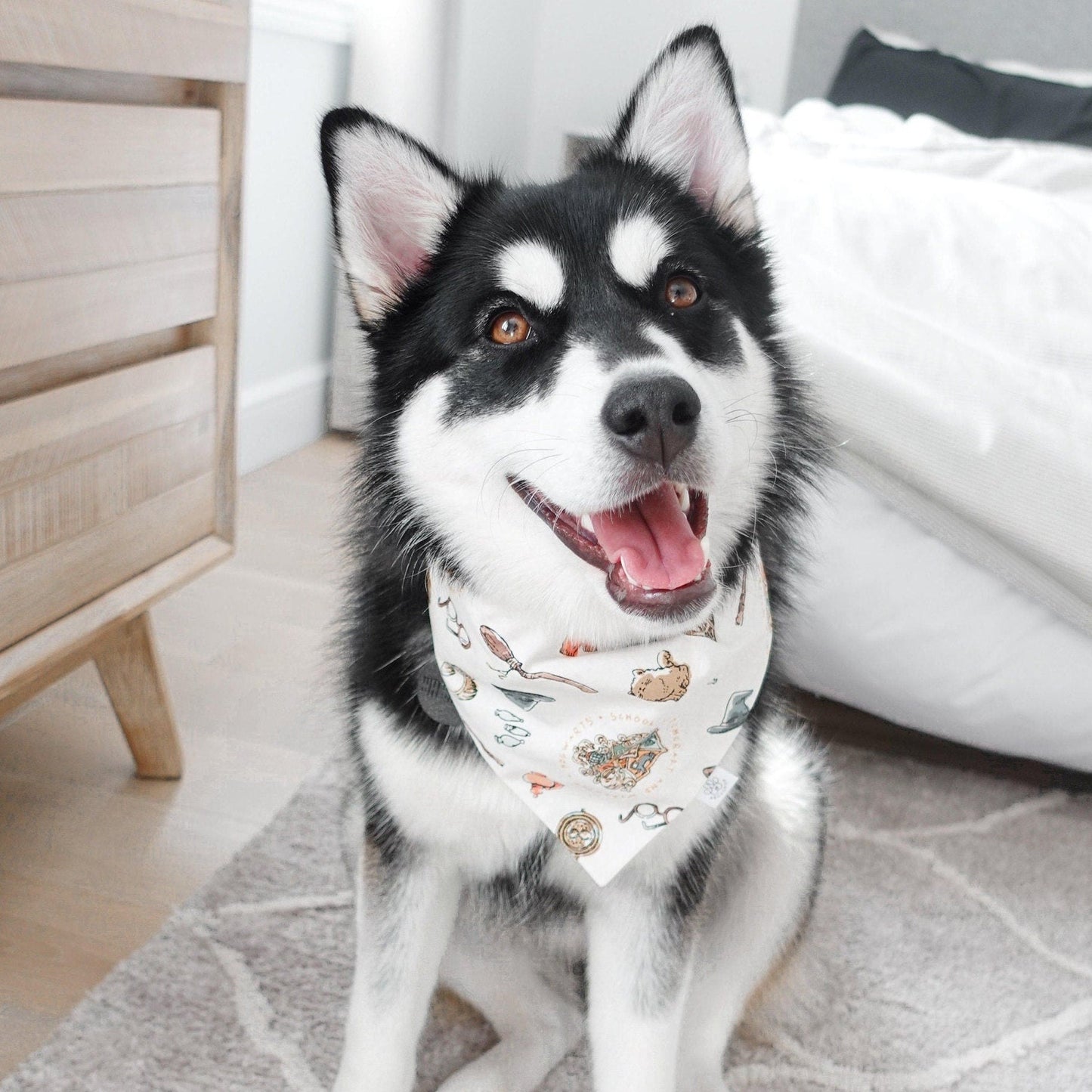 Harry Potter Theme and Stars Bandana