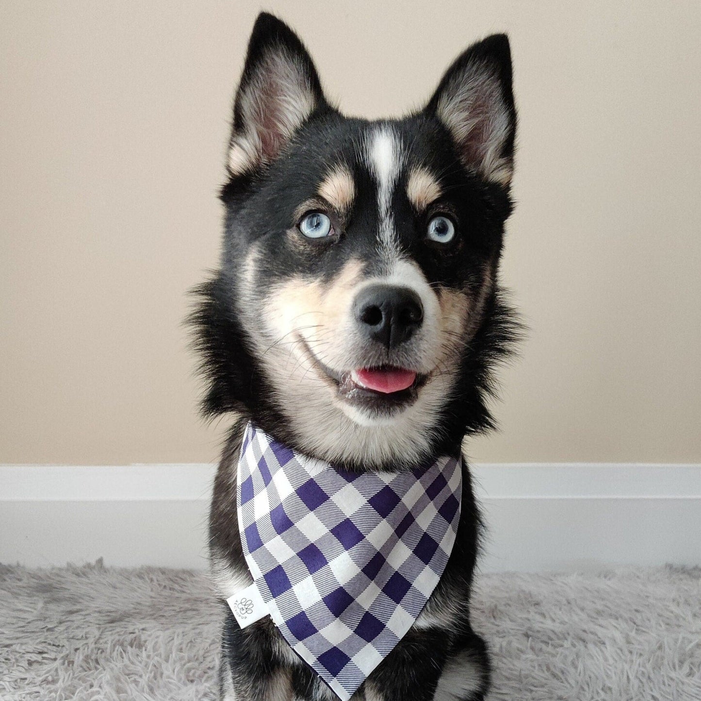 Blue Space Ship + Checkered Gingham