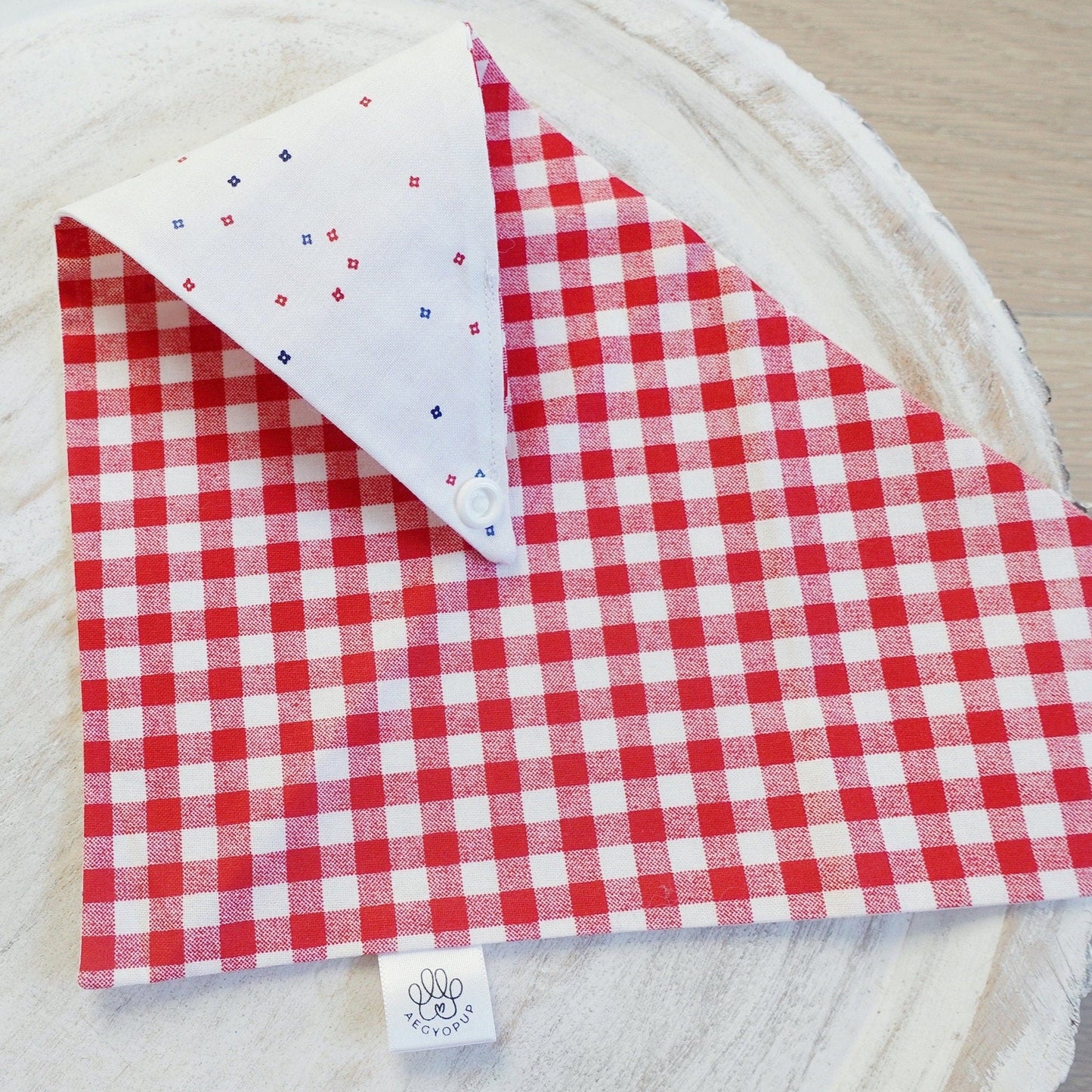 Red Checkered Picnic and Splattered Dots